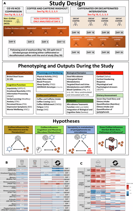 Habitual coffee intake shapes the microbiome, modifies physiology and cognition