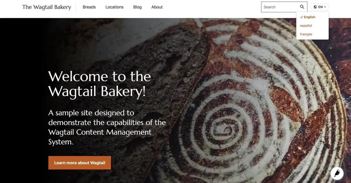How I Found a Hidden Bug in Wagtail-Localize