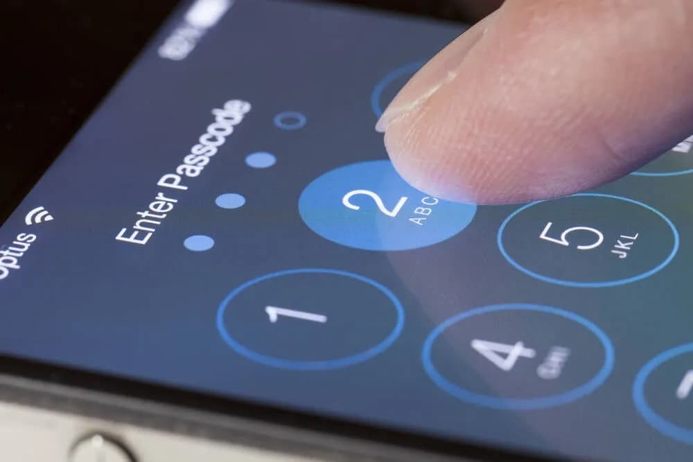 Apple update looks like Czech mate for locked-out iPhone user